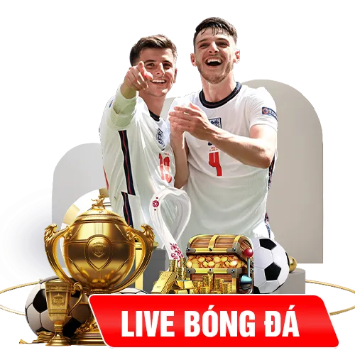 live-bong-da